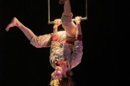 Minuit Compagnie, Spectacle