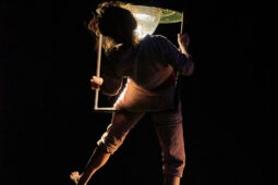 Minuit Compagnie, Spectacle