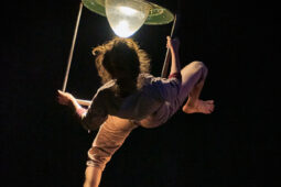 Minuit Compagnie, Spectacle