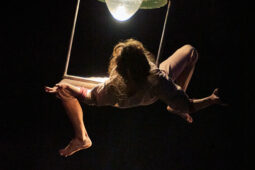 Minuit Compagnie, Spectacle