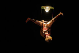 Minuit Compagnie, Spectacle