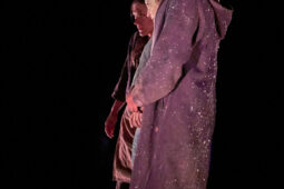 Minuit Compagnie, Spectacle