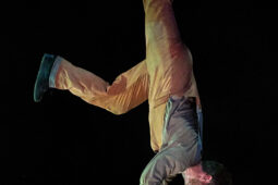 Minuit Compagnie, Spectacle
