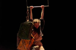 Minuit Compagnie, Spectacle