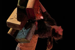 Minuit Compagnie, Spectacle