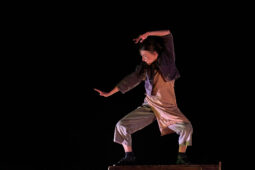 Minuit Compagnie, Spectacle