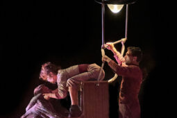 Minuit Compagnie, Spectacle