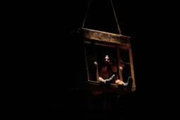 Minuit Compagnie, Spectacle