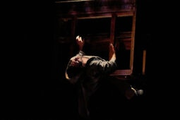 Minuit Compagnie, Spectacle
