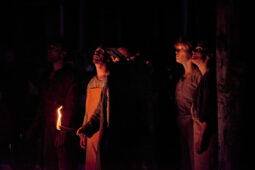 Minuit Compagnie, Spectacle