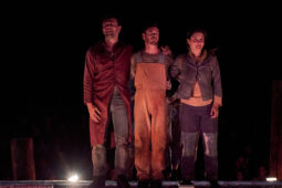 Minuit Compagnie, Spectacle