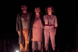Minuit Compagnie, Spectacle