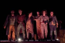 Minuit Compagnie, Spectacle