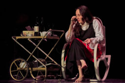 Cie Melpomène, Spectacle