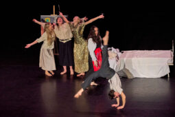 Cie Melpomène, Spectacle