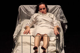 Cie Melpomène, Spectacle