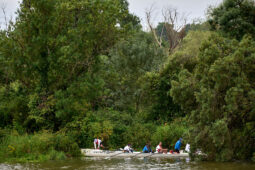 Bateau, Débord de Loire, Evenement