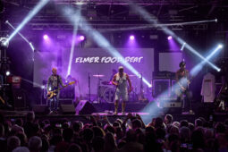 Concert, Elmer Food Beat, Public