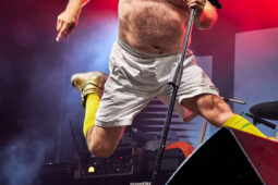 Concert, Elmer Food Beat