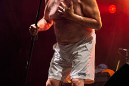 Concert, Elmer Food Beat