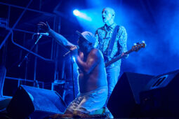 Concert, Elmer Food Beat