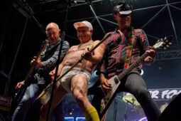 Concert, Elmer Food Beat, Festival