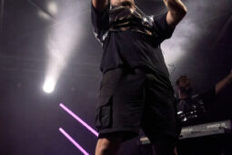 Concert, LMZG