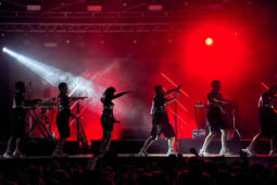 Concert, LMZG, Public