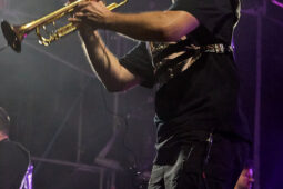 Concert, LMZG