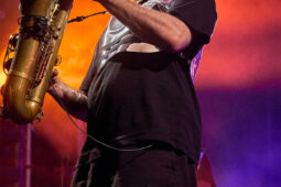 Concert, LMZG