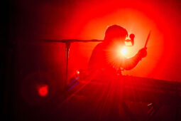 Concert, LMZG