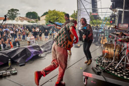 Concert, Les Types à Pied, Public
