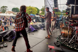 Concert, Les Types à Pied, Public