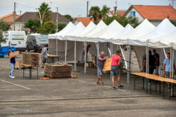 Festival