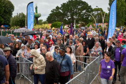 Public, Bénévole, Festival