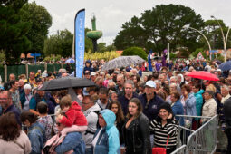 Public, Festival