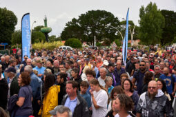 Public, Festival