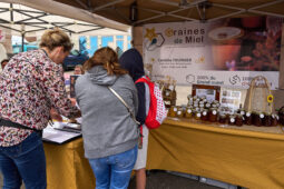 Exposant, Festival