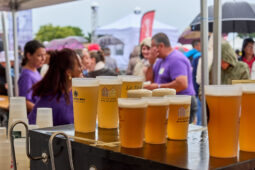 Bénévole, Public, Festival