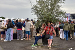 Public, Festival