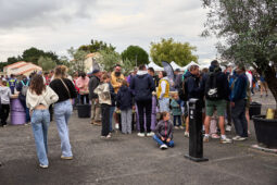 Public, Festival