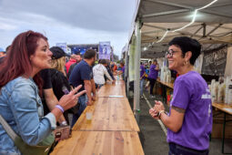 Public, Bénévole, Festival