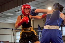 Sport, Boxe, Gala 2025