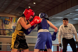 Sport, Boxe, Gala 2025