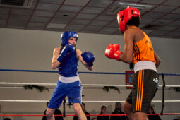 Sport, Boxe, Gala 2025