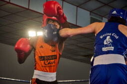 Sport, Boxe, Gala 2025