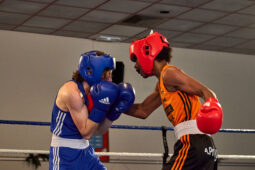 Sport, Boxe, Gala 2025