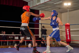 Sport, Boxe, Gala 2025