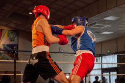 Sport, Boxe, Gala 2025