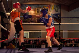 Sport, Boxe, Gala 2025